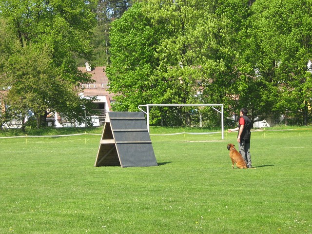 www.atibox.net * www.euroboxer.eu * www.boxergenealogia.eu